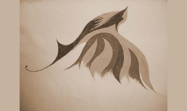 Portfolio Image